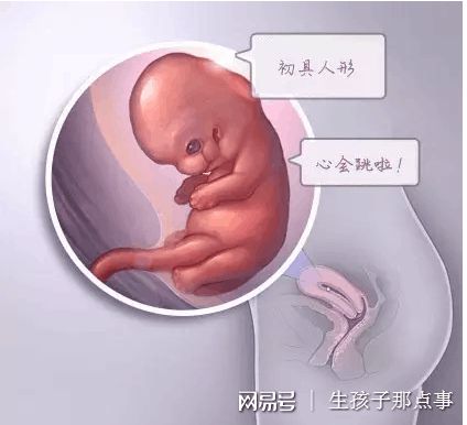 嘉会医疗